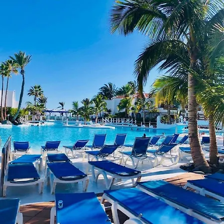 Daire Ferienwohnung Fur 3 Personen Ca 60 Qm In Playa De Americas, Teneriffa Playa De Americas Und Cristianos *